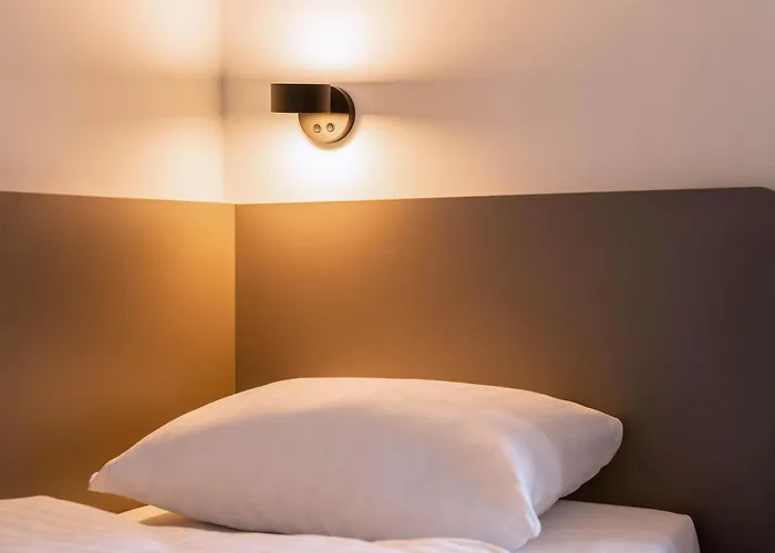 호텔 B&B Hotel Wetzlar 베츨러